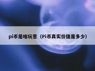 pi币是啥玩意（Pi币真实价值是多少）
