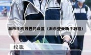 派币手机钱包的设置（派币登录新手教程）