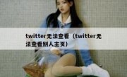 twitter无法查看（twitter无法查看别人主页）