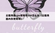 云服务器cpu使用率100怎么办（云服务器内存使用率）
