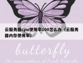 云服务器cpu使用率100怎么办（云服务器内存使用率）