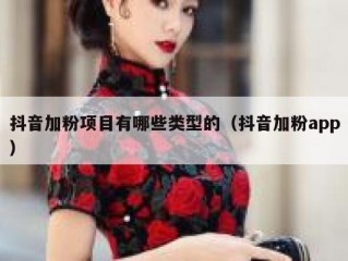 抖音加粉项目有哪些类型的（抖音加粉app）
