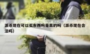 派币现在可以买东西吗是真的吗（派币现在合法吗）