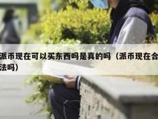 派币现在可以买东西吗是真的吗（派币现在合法吗）