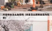 抖音粉丝怎么加密码（抖音怎么把粉丝设为私密）
