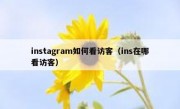 instagram如何看访客（ins在哪看访客）