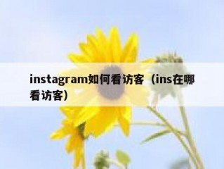 instagram如何看访客（ins在哪看访客）