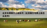 北京车牌限行上路处罚（北京限行号牌上路怎么处罚）