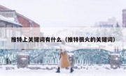 推特上关键词有什么（推特很火的关键词）