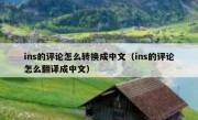 ins的评论怎么转换成中文（ins的评论怎么翻译成中文）