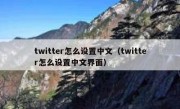 twitter怎么设置中文（twitter怎么设置中文界面）