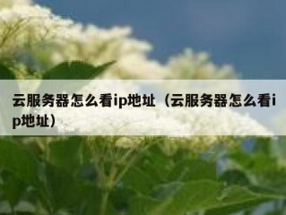 云服务器怎么看ip地址（云服务器怎么看ip地址）