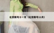 北京限号十一月（北京限号11月）