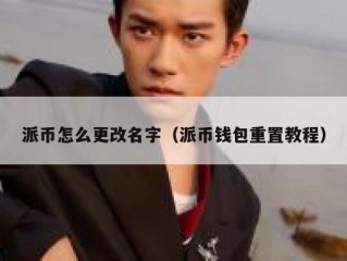 派币怎么更改名字（派币钱包重置教程）