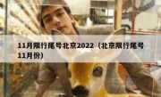 11月限行尾号北京2022（北京限行尾号11月份）