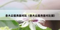 各大云服务器对比（各大云服务器对比图）