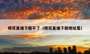 樱花直播下载不了（樱花直播下载地址是）