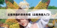 云服务器的使用教程（云服务器入门）