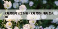 云服务器地址怎么填（云服务器ip地址怎么用）