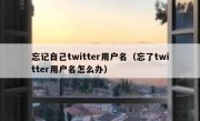 忘记自己twitter用户名（忘了twitter用户名怎么办）