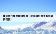 北京限行尾号如何处罚（北京限行尾号如何处罚罚款）