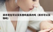 派币现在可以买东西吗是真的吗（派币可以买物吗）