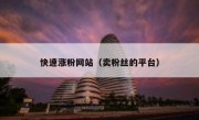 快速涨粉网站（卖粉丝的平台）