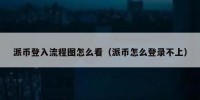 派币登入流程图怎么看（派币怎么登录不上）