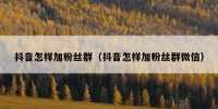 抖音怎样加粉丝群（抖音怎样加粉丝群微信）