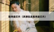 服务器芯片（浪潮信息服务器芯片）