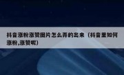 抖音涨粉涨赞图片怎么弄的出来（抖音里如何涨粉,涨赞呢）