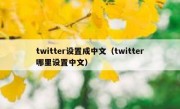 twitter设置成中文（twitter哪里设置中文）