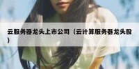 云服务器龙头上市公司（云计算服务器龙头股）