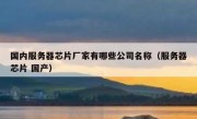 国内服务器芯片厂家有哪些公司名称（服务器芯片 国产）