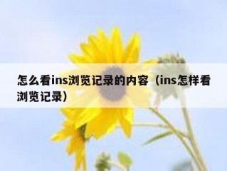 怎么看ins浏览记录的内容（ins怎样看浏览记录）