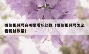 微信视频号在哪里看粉丝数（微信视频号怎么看粉丝数量）