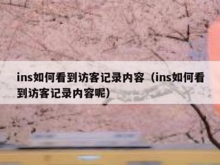 ins如何看到访客记录内容（ins如何看到访客记录内容呢）