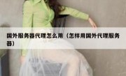 国外服务器代理怎么用（怎样用国外代理服务器）