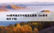 ins账号格式不对是怎么回事（ins账号改不了吗）