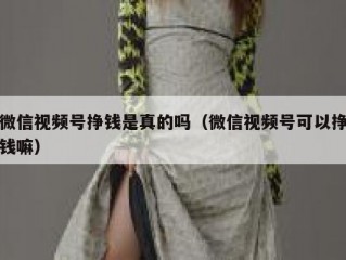 微信视频号挣钱是真的吗（微信视频号可以挣钱嘛）