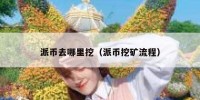 派币去哪里挖（派币挖矿流程）