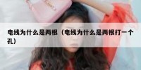 电线为什么是两根（电线为什么是两根打一个孔）