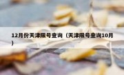 12月份天津限号查询（天津限号查询10月）