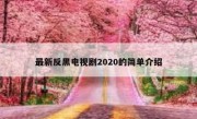 最新反黑电视剧2020的简单介绍