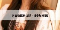 抖音数据粉拉群（抖音加粉群）
