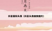 抖音国际头像（抖音头像国旗图片）