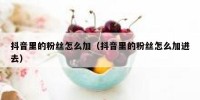抖音里的粉丝怎么加（抖音里的粉丝怎么加进去）