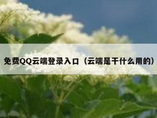 免费QQ云端登录入口（云端是干什么用的）