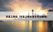 抖音上粉丝（抖音上粉丝多少可以赚钱）