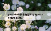 youtube如何看自己评论（youtube在哪里评论）
